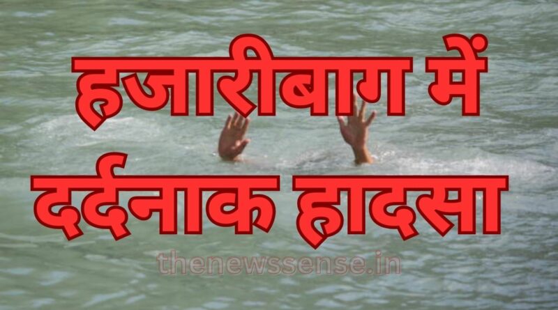 Hazaribagh drowning Six children died